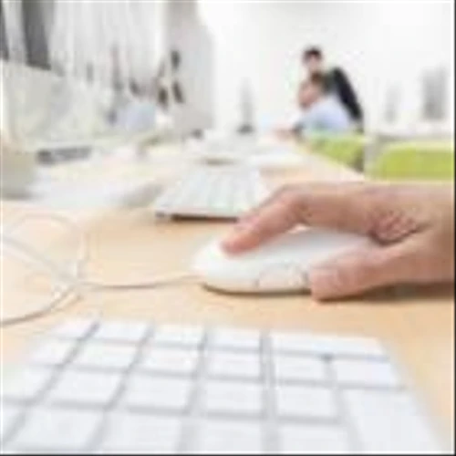 Will Application Software Strength Continue to Drive Roper's Growth?
