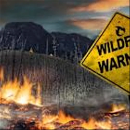 Alberta’s wildfires disrupt 350,000 barrels of daily crude production