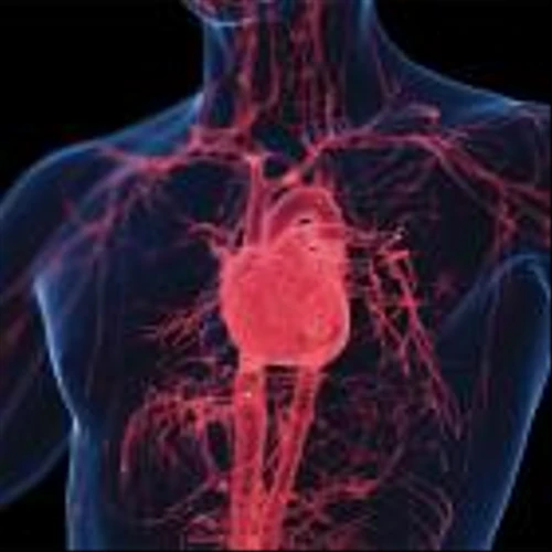 NewAmsterdam Touts Cholesterol Drug Success, But Results Trail Analysts' Expectations