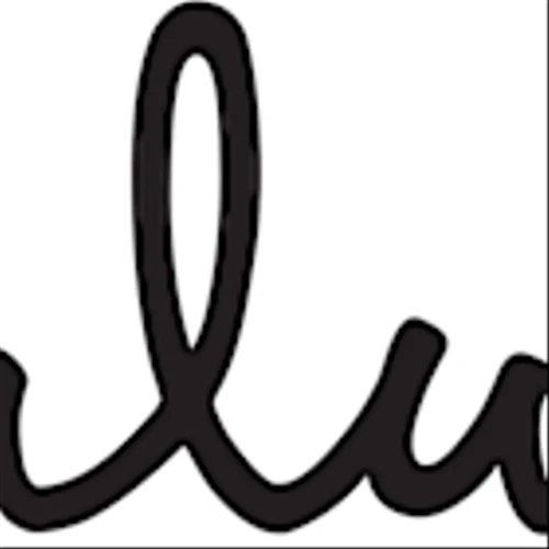 Lulus Appoints Heidi Crane as Fractional Chief Financial Officer