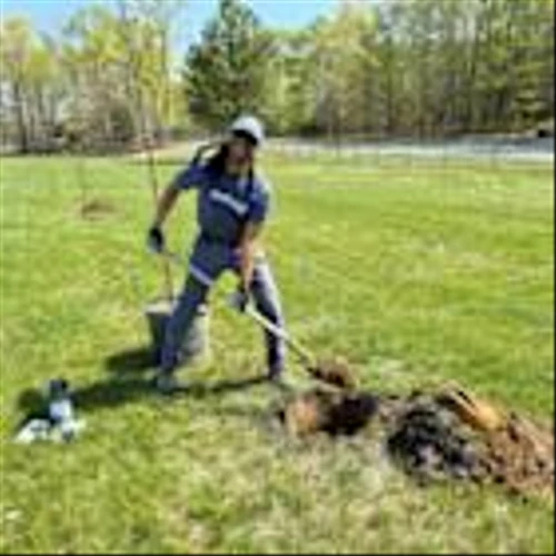 FirstEnergy Builds Greener Communities with 30,000+ Trees Planted in 2025, 26,000 Planned for 2026