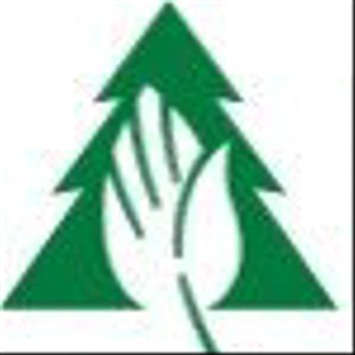 PotlatchDeltic Corp (PCH) Q1 2025 Earnings Call Highlights: Strong EBITDA Growth and Strategic ...
