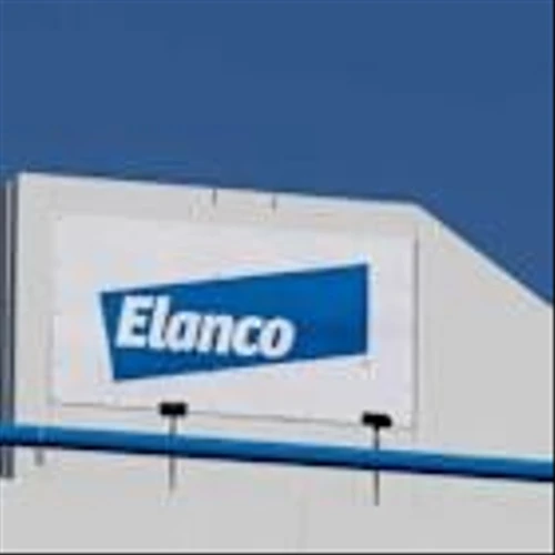 How Protein And Pets Drove Elanco Animal Health's 79% Gain In 2025