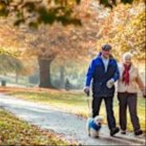 2 Healthcare Stocks Poised for a Comeback in 2026