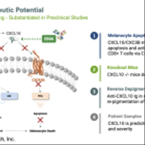 EDSA: IND Expected in 2025 for EB06 for the Treatment of Vitiligo…