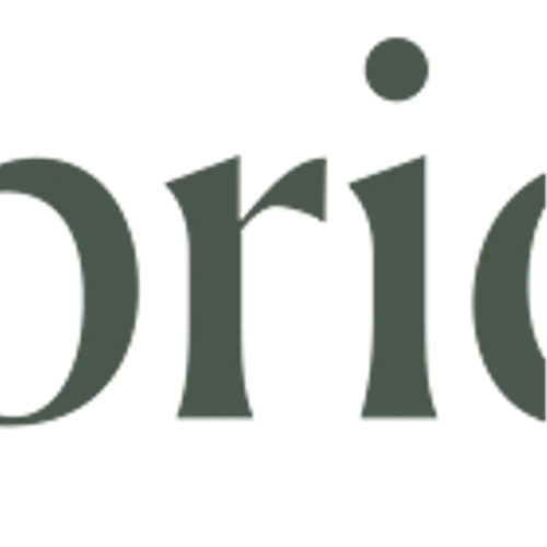 Private Market Operating System Bridge Closes $5.1 Million Seed Financing, Led by Thicket Ventures