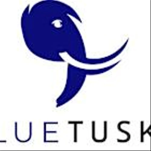 BlueTuskr Officially Recognized as Shopify Plus Partner Amid Shopify's Partner Program Realignment