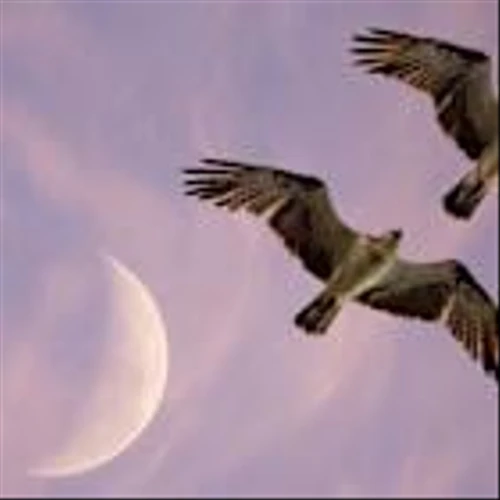 Dozens of Issuers Win Dual Share Class Approval. Rolling Them Out Won’t Be as Easy