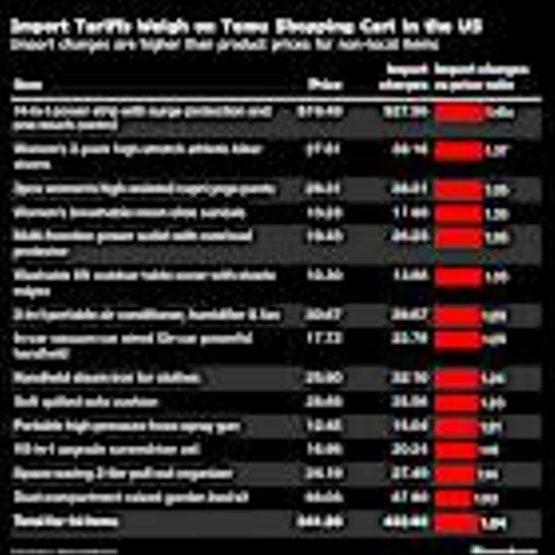 US shoppers pay for Trump tariffs on Temu, doubling some prices