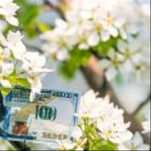 Best Growth Stocks to Buy for May 28th