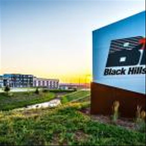 How To Put $100 In Your Retirement Fund Each Month With Black Hills Stock