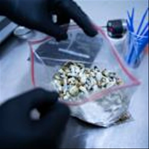 Compass’s Psychedelic Drug to Treat Depression Meets Goal in Trial