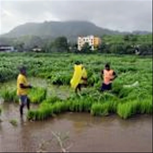 Modi Vows to Protect India’s Farmers Even at Great Personal Cost