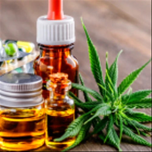 The 3 Hottest Cannabis Stocks to Watch in 2024