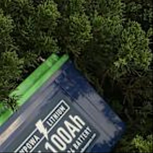 CATL Pushes Global Expansion as China EV Growth Slows