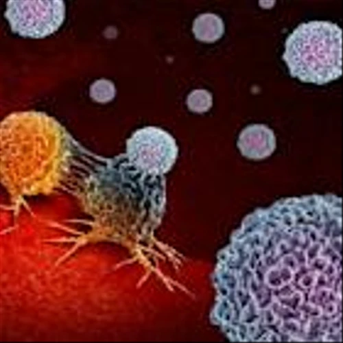 Bruker Stock Set to Gain From Acquisition of Austria's biocrates