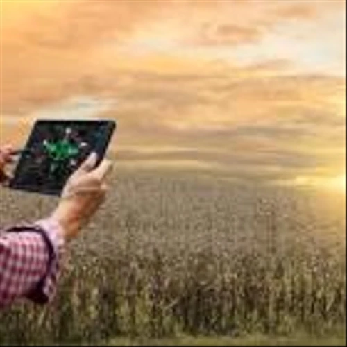 Zacks Industry Outlook Highlights Corteva, Dole and Alico