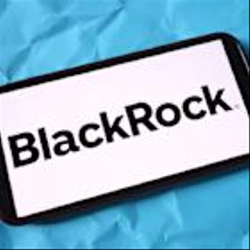 Blackstone,Revolut in talks to collaborate on wealth management – report