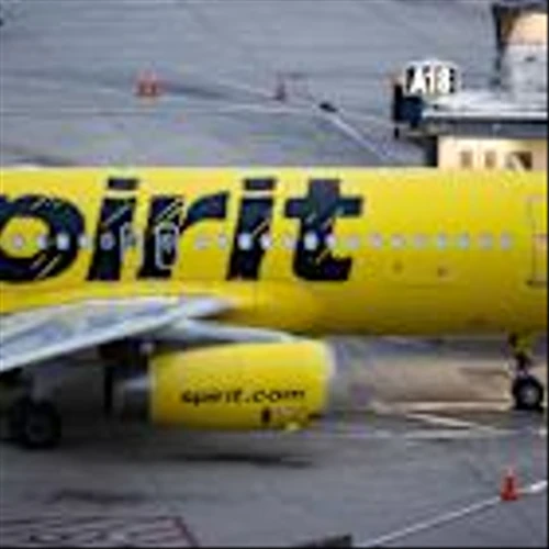 Software stocks rise on Anthropic partnerships, Spirit Airlines cuts flights