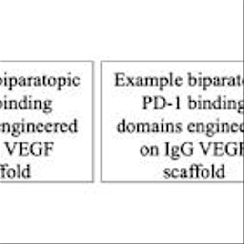 Tharimmune Announces Positive Target Engagement with Novel Biparatopic PD-1/VEGF and Multispecific HER2/HER3 Biologics Leveraging Proprietary EpiClick Technology
