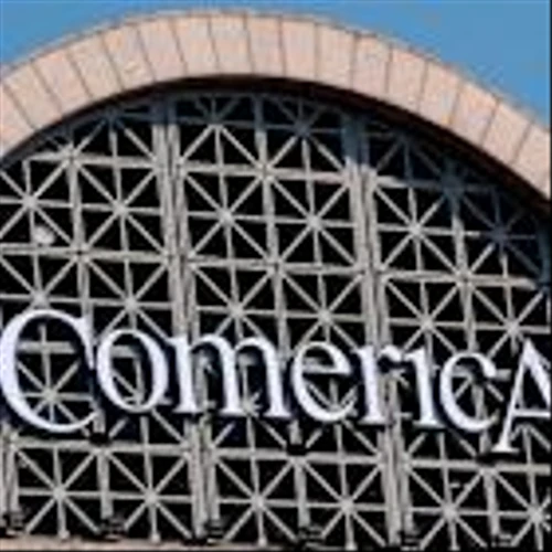 Comerica names next risk chief