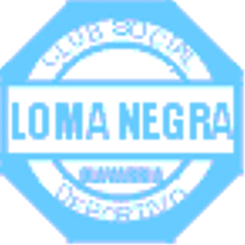 Loma Negra Cia Industria Argentina SA (LOMA) Q2 2024 Earnings Call Highlights: Resilience Amid ...