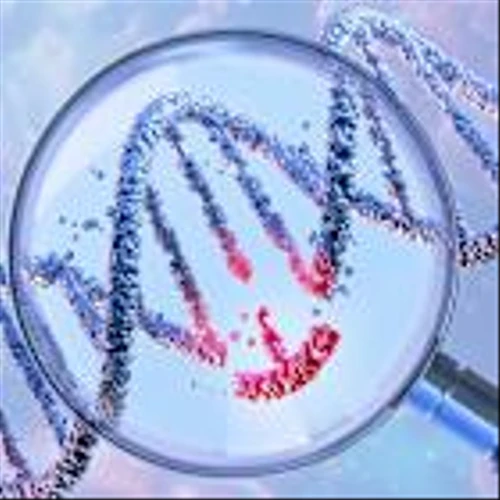 Regeneron and Tessera join forces to forge in vivo AATD gene therapy