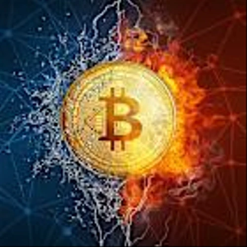 Bitcoin Sell-Off Deepens, Cathie Wood Buys These Crypto Stocks.