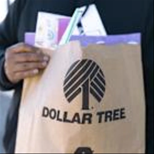 Worrisome retail trends flagged at Dollar Tree