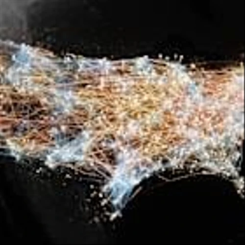 NVIDIA and US Telecom Leaders Unveil the All-American AI-RAN Stack to Accelerate the Path to 6G