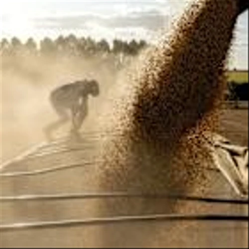 Trump’s Trade War Is Making US Farmers Anxious About Demand Risk
