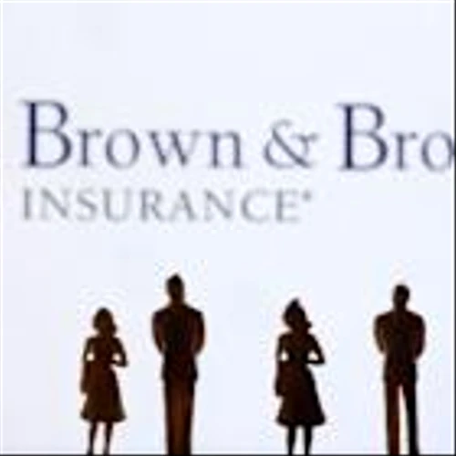 Brown & Brown's profit rises on higher income from fees