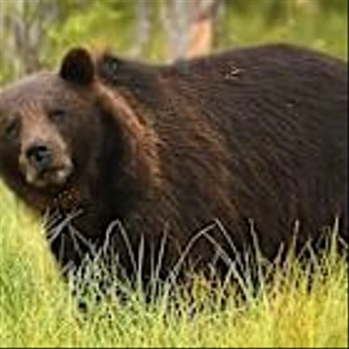 Stock Market Today: Dow Sinks 500 Points As Tech Pressure Persists; Nvidia Falls (Live Coverage)