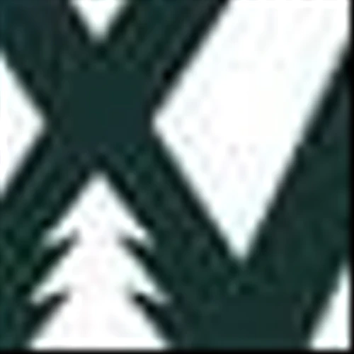 ProWood Releases Inaugural State of the Industry Report