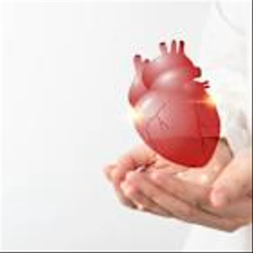 Boston Scientific Watchman device procedure risk