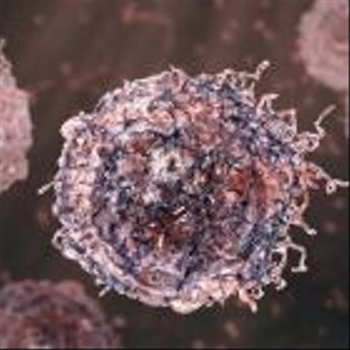 Adaptimmune leads in soft tissue sarcoma therapy with first TCR approval