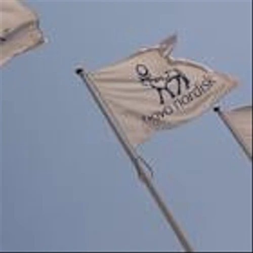 Ozempic Maker Novo Nordisk Lowers Growth Outlook of Its Blockbuster Drugs