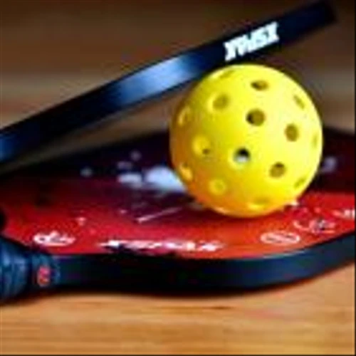 16 Best Pickleball Paddles Under $50