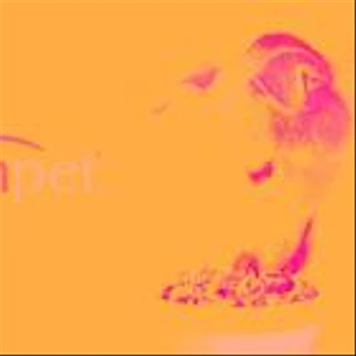 3 Volatile Stocks with Warning Signs