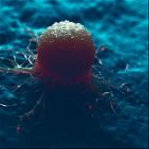 FDA places partial clinical hold on Zentalis’ trials of azenosertib for cancer