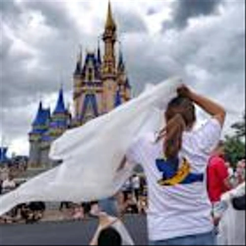 Disney adds new rules to convenient theme park service after abuse