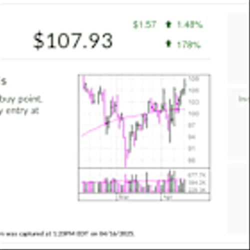 Stock Of The Day Skirts Tariffs, Other Risks As It Aims For Record Highs