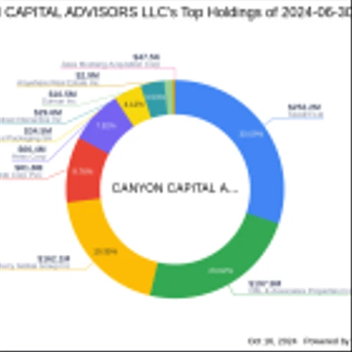 Canyon Capital Advisors LLC Adjusts Stake in CBL & Associates Properties Inc