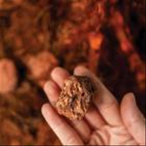 Queensland Government offers $13.5m for Harmony’s Eva copper mine