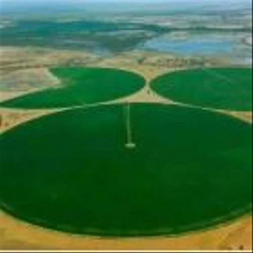 African Agriculture Reports Expanded Activities  Expects to Significantly Increase Production in 2024