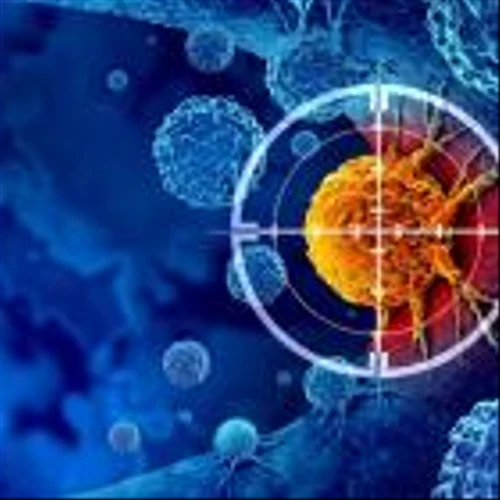 Moffitt and Fulgent Pharma partner on personalised cancer therapies