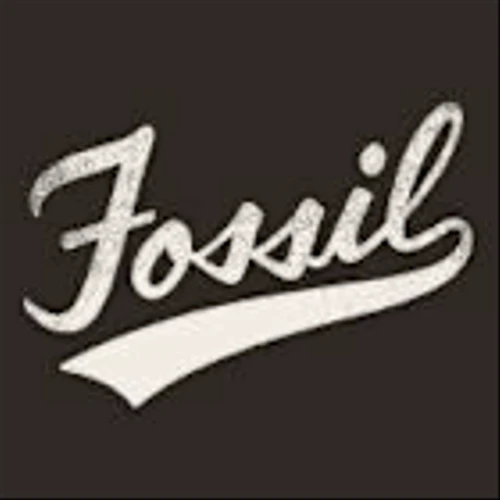 Fossil Group Inc (FOSL) Q4 2024 Earnings Call Highlights: Navigating Challenges with Strategic ...