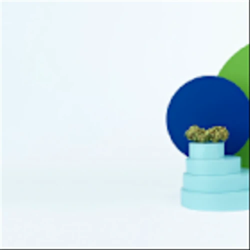 IM Cannabis Corp (IMCC) Q1 2025 Earnings Call Highlights: A Turnaround to Profitability Amid ...