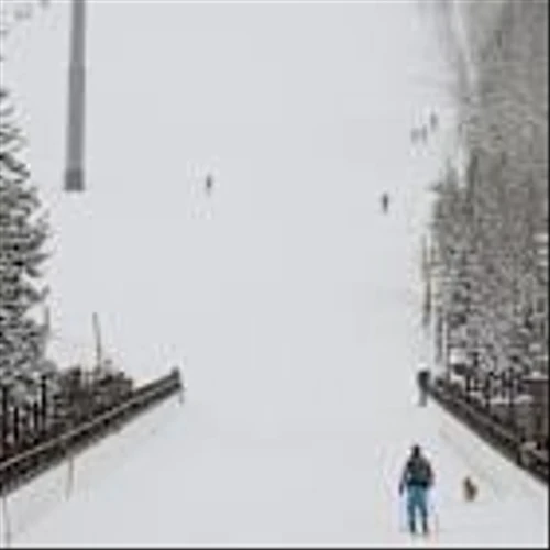 Vail Resorts Shakes Up Leadership After Rocky Ski Season