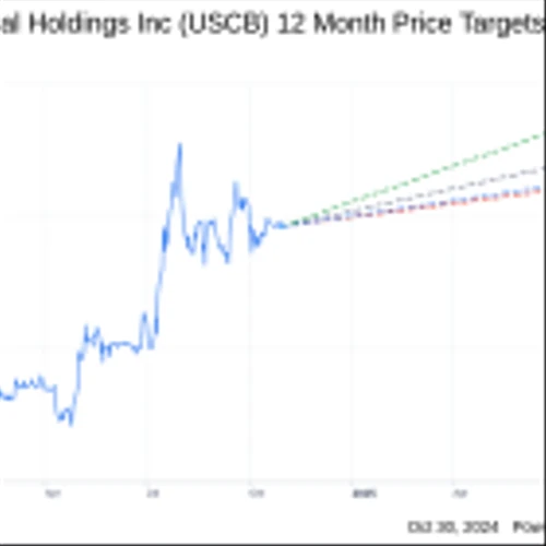 USCB Financial Holdings Inc (USCB) Q3 2024: Everything You Need to Know Ahead of Earnings